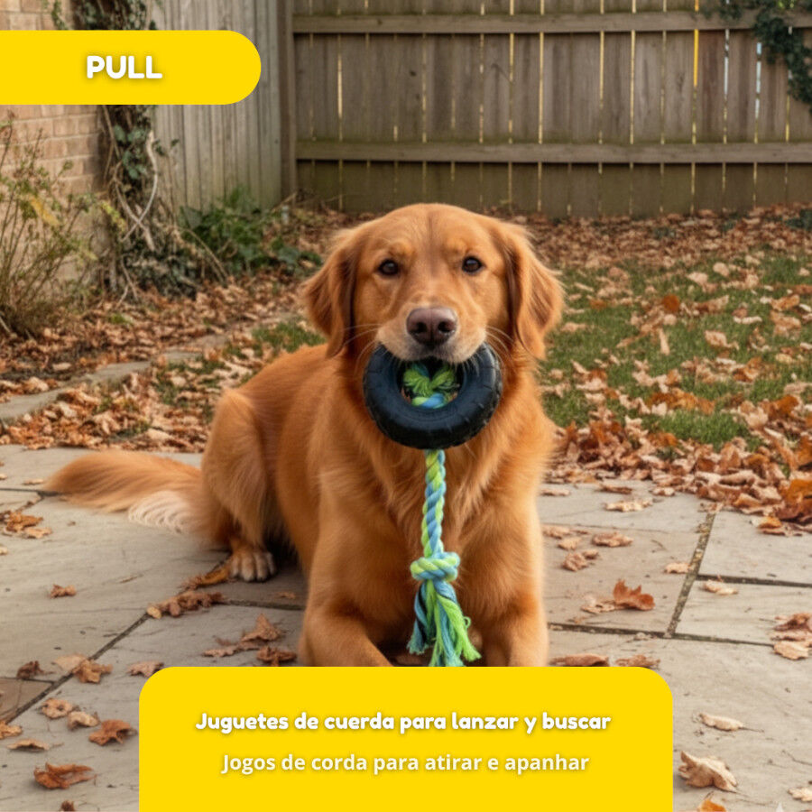 Tootoy! Pull Mordedor pneu de corda pequeno para c&atilde;es, , large Imagem n&uacute;mero 5