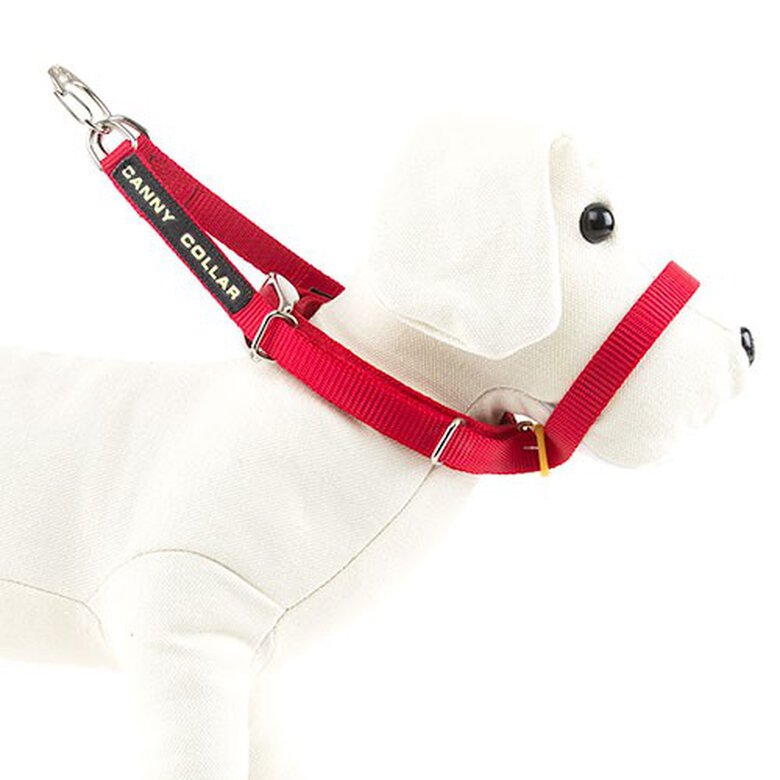 Canny rojo collar de manejo para perros rebeldes image number null