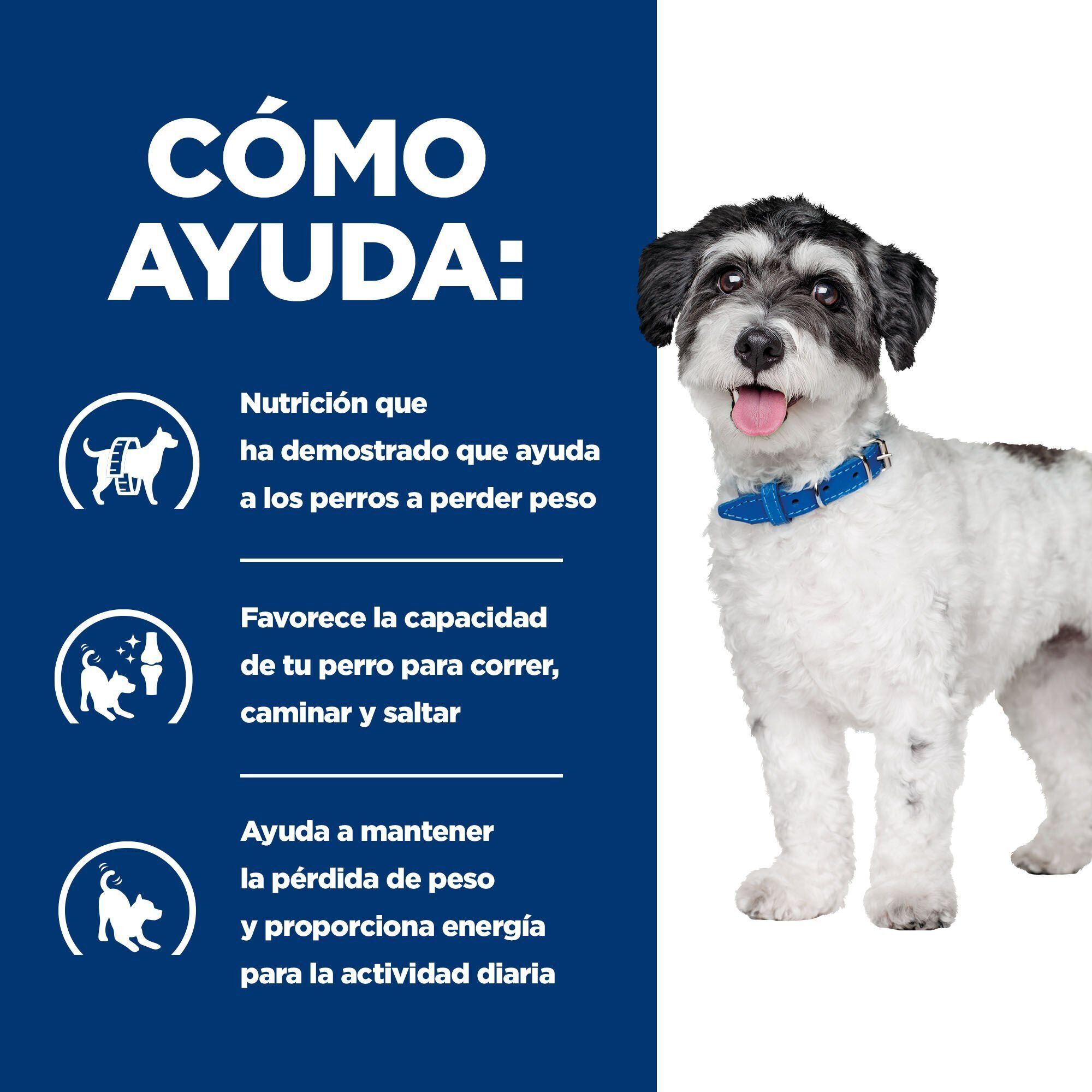 3 kg Hill's Prescription Diet j/d Metabolic + Mobility mini Adult ra&ccedil;&atilde;o para c&atilde;es, , large Imagem n&uacute;mero 4