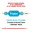12 kg Royal Canin Puppy Labrador Retriever ração para cães, , large Indicador imagem número 8