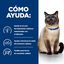 156 g Hill's Prescription Diet Food Sensitive lata z/d para gatos, , large Indicador imagem número 4