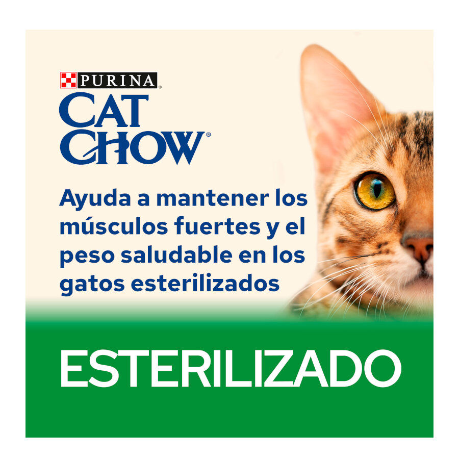 15 kg Cat Chow Sterilized Frango Ra&ccedil;&atilde;o para gatos, , large Imagem n&uacute;mero 3