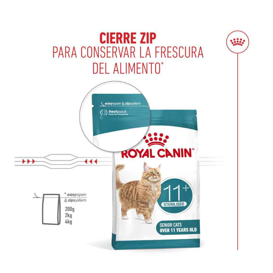 2 kg Royal Canin Ageing 11+ Sterilised ra&ccedil;&atilde;o para gatos, , large Imagem n&uacute;mero 7