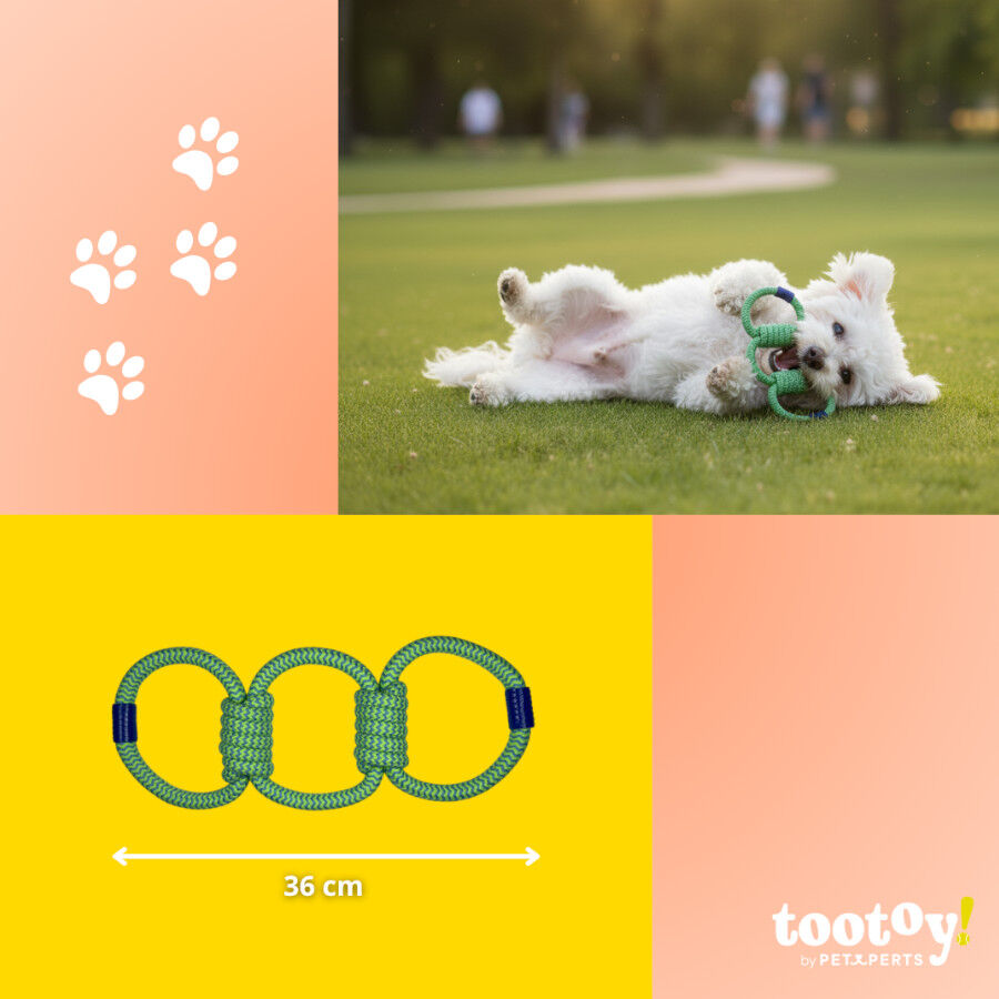 Tootoy! Pull Brinquedo de corda com tr&ecirc;s n&oacute;s para c&atilde;es, , large Imagem n&uacute;mero 4