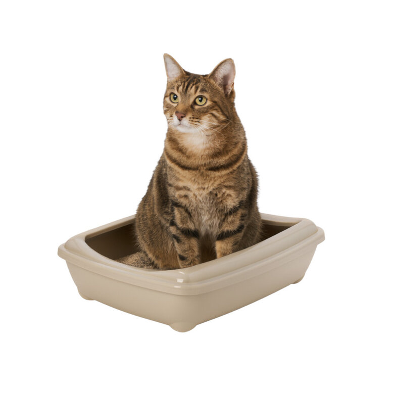 Nice Care Caixa de areia bege para gatos,  Imagem número 1 Nice Care Caixa de areia bege para gatos, , large Imagem número 1