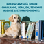 8 x 150 g Edgard & Cooper Adult Grain Free Saquetas para c&atilde;es - Multipack, , large Indicador imagem n&uacute;mero 9