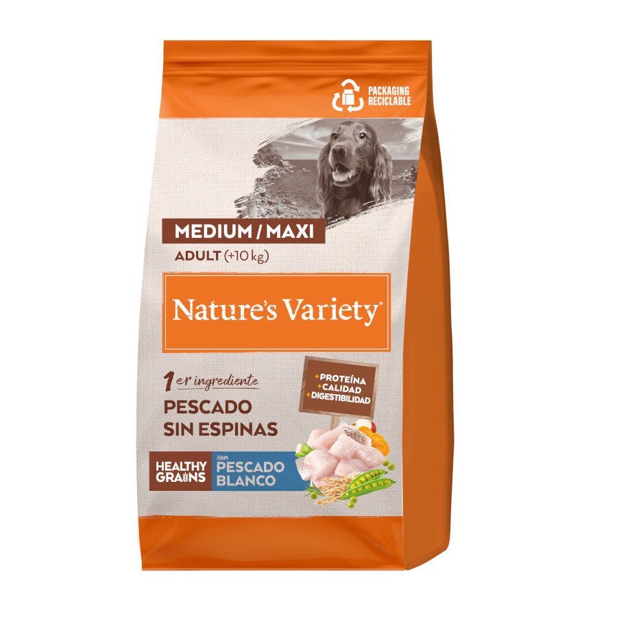 12 kg Nature's Variety Healthy Grains Adult Medium Maxi Peixe Branco ra&ccedil;&atilde;o para c&atilde;es, , large Imagem n&uacute;mero 1