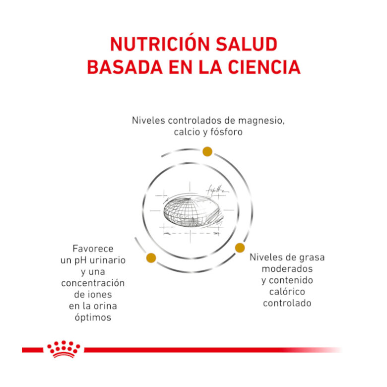 12 saquetas x 85 g Royal Canin Veterinary Urinary Moderate Calorie ração para gatos,  Imagem número 3 12 saquetas x 85 g Royal Canin Veterinary Urinary Moderate Calorie ração para gatos, , large Imagem número 3