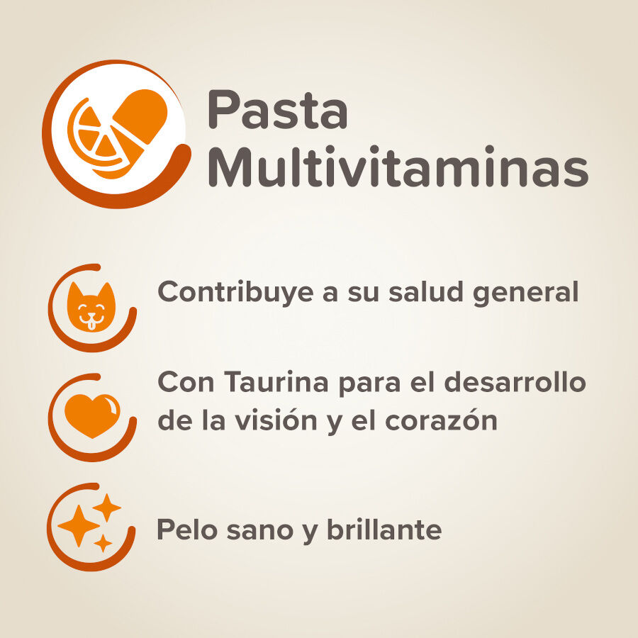 100 g Beaphar Multivitam&iacute;nico em pasta para gatos, , large Imagem n&uacute;mero 4