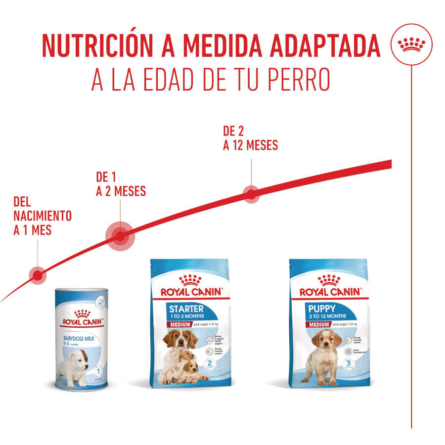 2 x 15 kg Royal Canin Medium Starter Mother&Baby ra&ccedil;&atilde;o para c&atilde;es  Pack poupan&ccedil;a!, , large Imagem n&uacute;mero 6