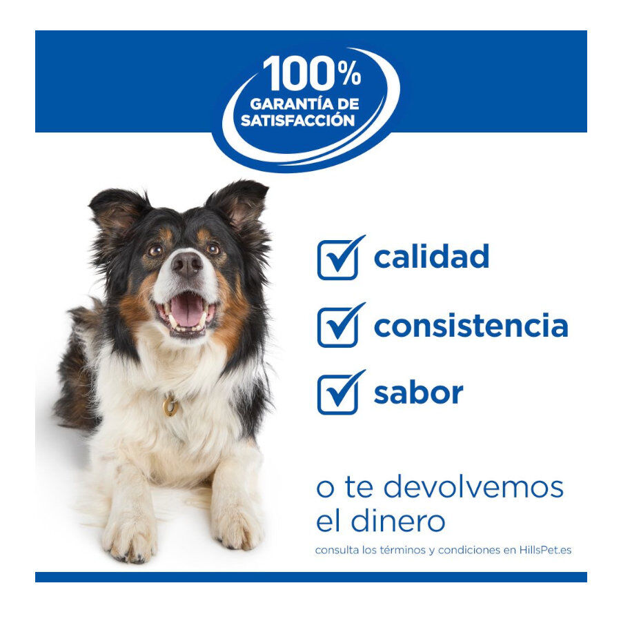 12 kg Hill's Science Plan Healthy Mobility Adult Large Frango ra&ccedil;&atilde;o para c&atilde;es, , large Imagem n&uacute;mero 10