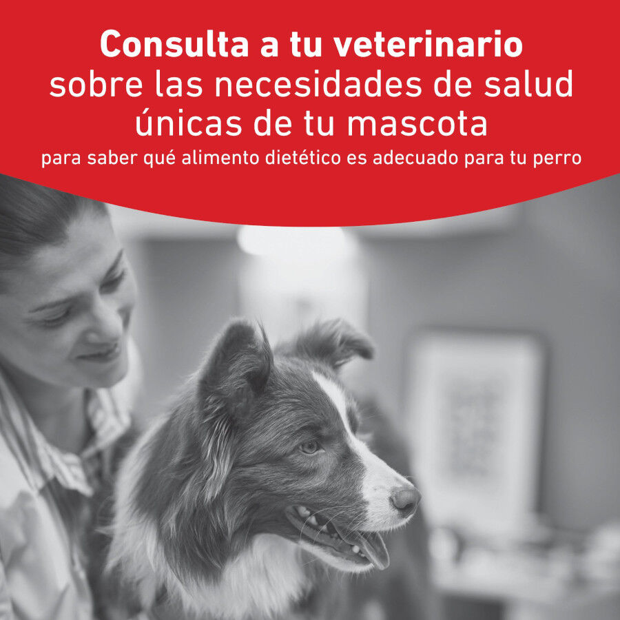 12 kg Royal Canin Veterinary Diabetic ra&ccedil;&atilde;o para c&atilde;es , , large Imagem n&uacute;mero 2