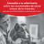 12 kg Royal Canin Veterinary Diabetic ra&ccedil;&atilde;o para c&atilde;es , , large Indicador imagem n&uacute;mero 2