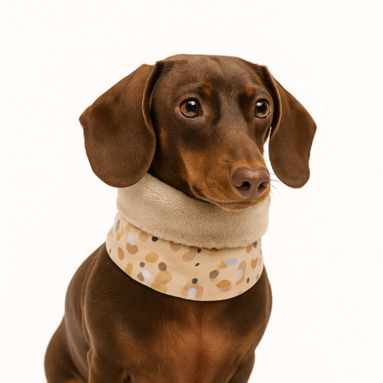 Outech Cachecol Leopardo para cães,  Imagem número 3 Outech Cachecol Leopardo para cães, , large Imagem número 3