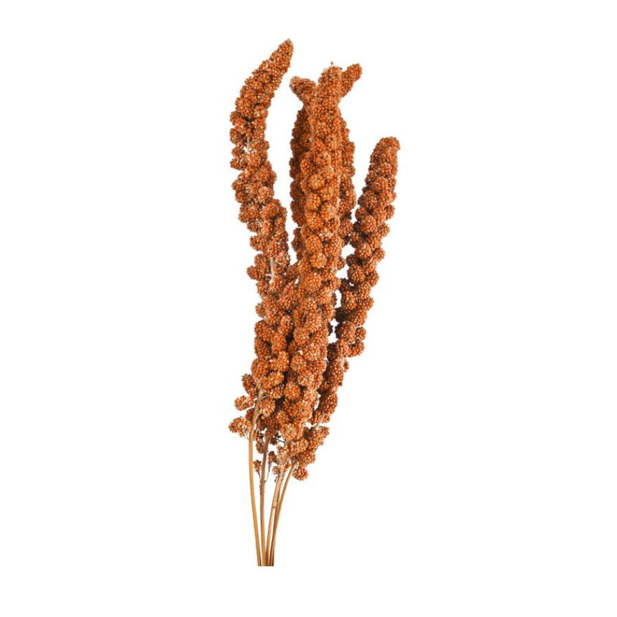 250 g Small Life Red Panizo Petisco para p&aacute;ssaros, , large Imagem n&uacute;mero 2