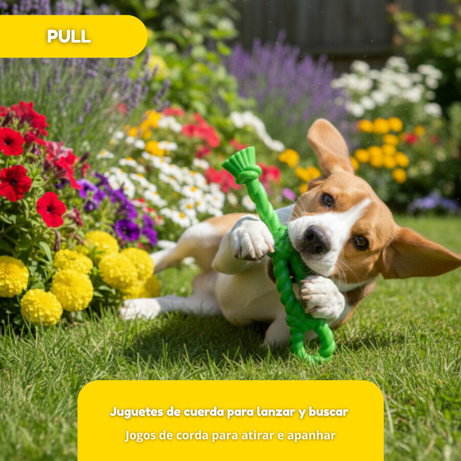 Tootoy! Pull N&oacute; grosso de borracha de brinquedo para c&atilde;es, , large Imagem n&uacute;mero 6