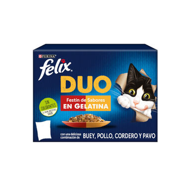 Felix Fantastic Duo Carne em Gelatina saqueta