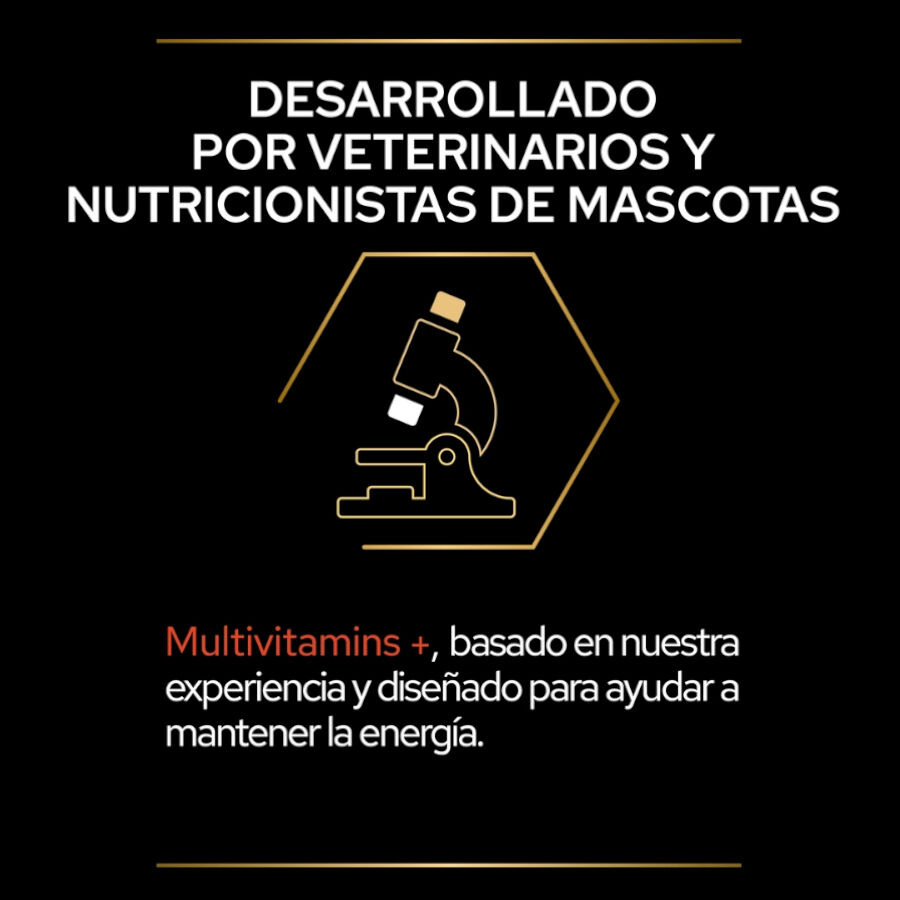 60 g Pro Plan Multivitamins + Suplemento em P&oacute; para gatos, , large Imagem n&uacute;mero 6
