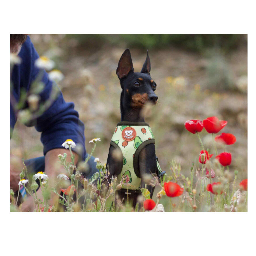 Dukier Avocado Peitoral revers&iacute;vel com estampado de abacate para c&atilde;es, , large Imagem n&uacute;mero 5