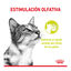 85 g Royal Canin Adult Sensory Smell molho saqueta para gatos, , large Indicador imagem número 3