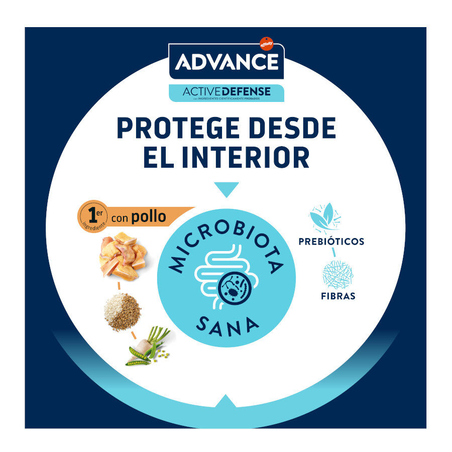 1.5 kg Advance Active Defense Sterilized +10 frango e cevada ra&ccedil;&atilde;o para gatos, , large Imagem n&uacute;mero 7