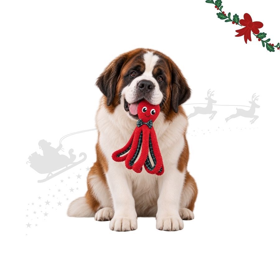 Wonder Christmas Polvo XL Peluche para c&atilde;es, , large Imagem n&uacute;mero 1