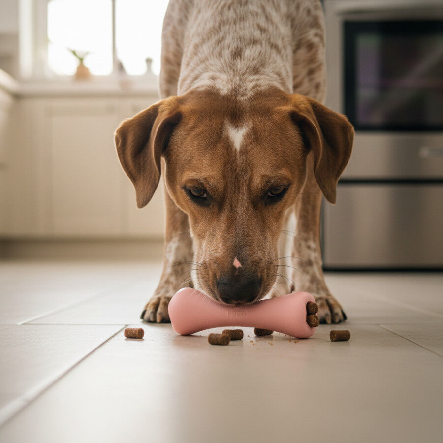 BECO Mordedor osso para c&atilde;es, , large Imagem n&uacute;mero 1