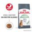 10 kg Royal Canin Adult Digestive ração para gatos, , large Indicador imagem número 2