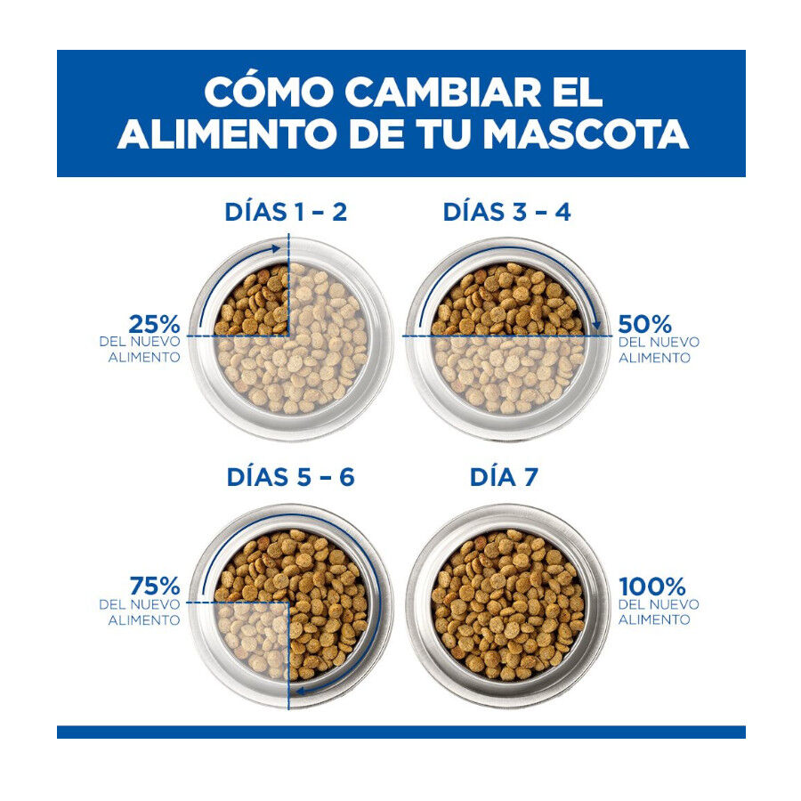 1.5 kg Hill's Prescription Diet i/d Digestive Care Kitten Digestivo Ra&ccedil;&atilde;o de frango para gatinhos, , large Imagem n&uacute;mero 10