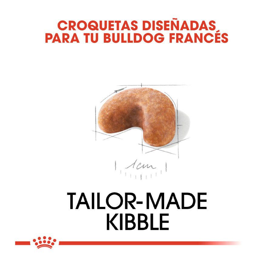 10 kg Royal Canin Puppy Bulldog Franc&ecirc;s ra&ccedil;&atilde;o para c&atilde;es, , large Imagem n&uacute;mero 5