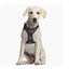 Disney Star Wars Peitoral Darth Vader para cães, , large Indicador imagem número 3
