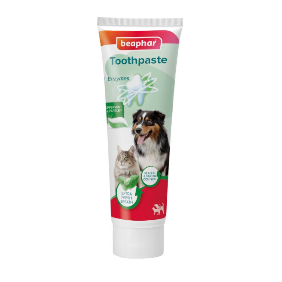 Beaphar Creme dental com hortel&atilde; e salsa para c&atilde;es e gatos, , large Imagem n&uacute;mero 1