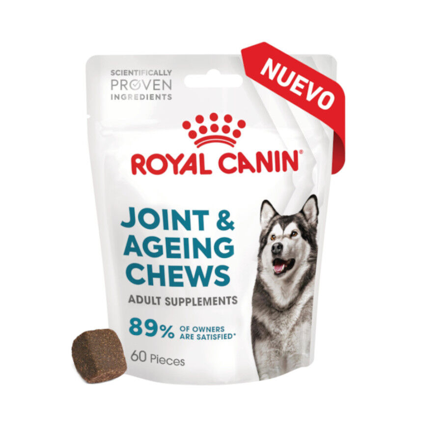 240 g Royal Canin Joint & Ageing Chews Suplemento Nutricional para c&atilde;es com sensibilidade articular, , large Imagem n&uacute;mero 2
