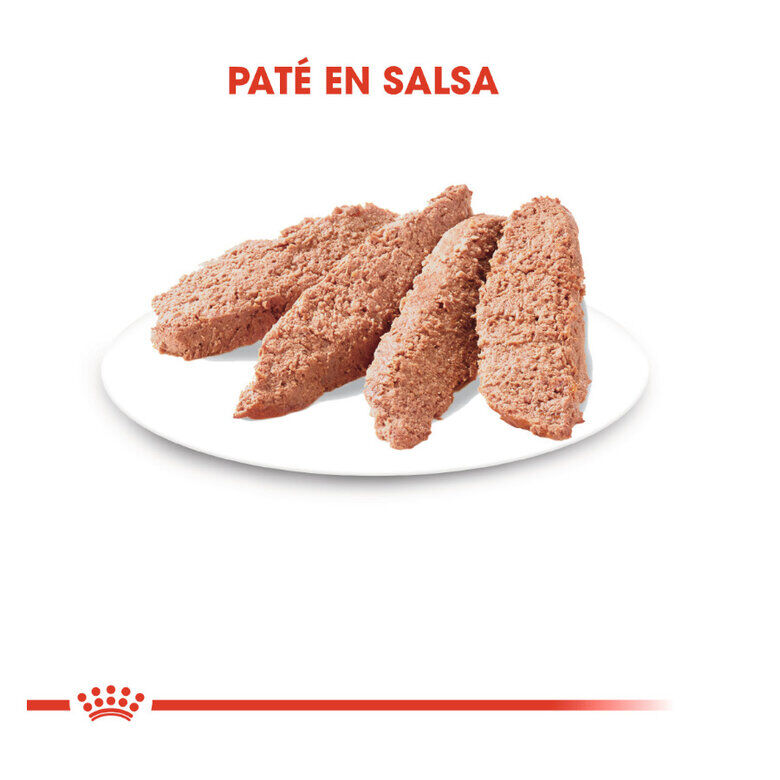 85 g Royal Canin Instinctive pat&ecirc; saqueta para gatos, , large Imagem n&uacute;mero 3