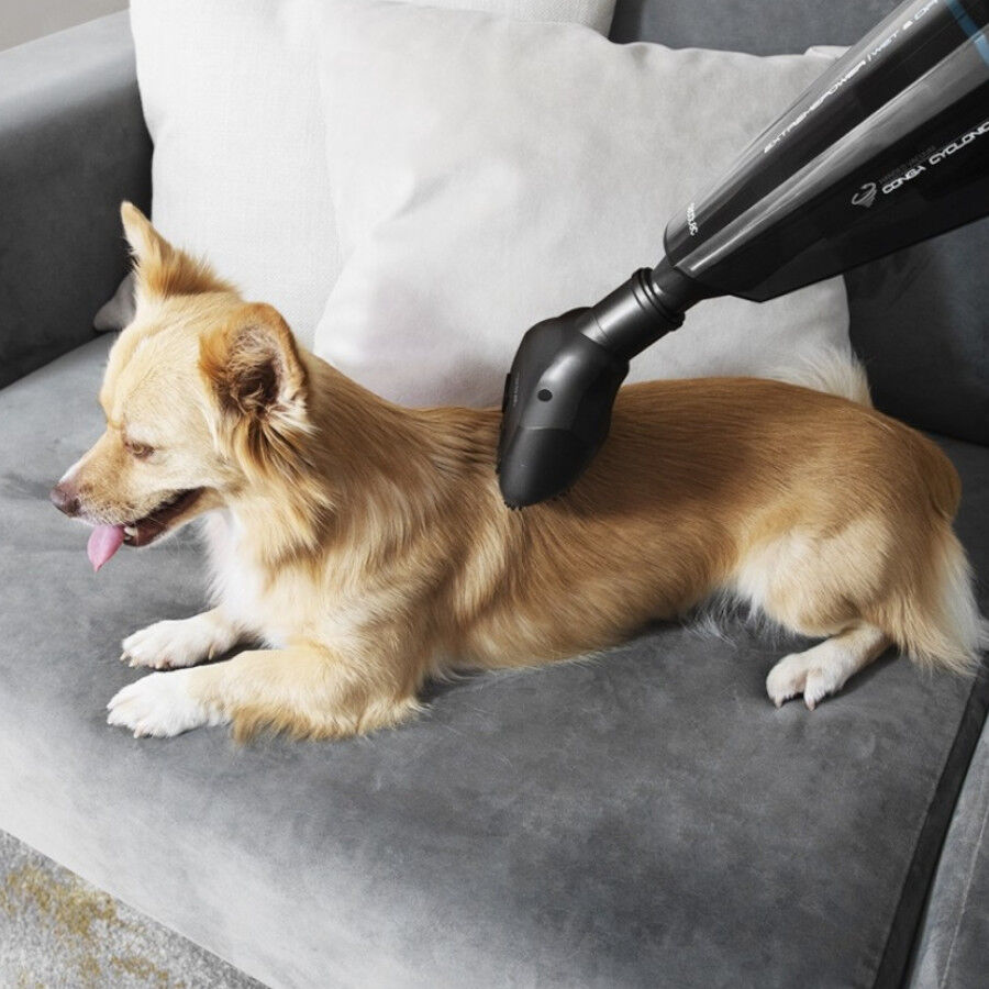 Cecotec Conga Immortal Extreme Suction Aspirador para pelos de animais, , large Imagem n&uacute;mero 3