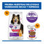 14 kg Hill's Science Plan Sensitive Stomach y Skin Adult Frango ra&ccedil;&atilde;o para c&atilde;es, , large Indicador imagem n&uacute;mero 9