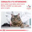 12 sobres x 85 g Royal Canin Mature Consult Láminas en Salsa Sobre para gatos, , large Indicador imagem número 6