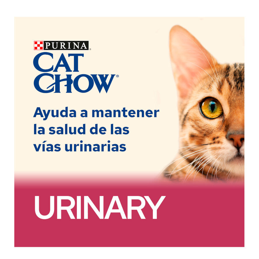 15 kg Cat Chow Urinary Tract Health Frango ra&ccedil;&atilde;o para gatos, , large Imagem n&uacute;mero 3