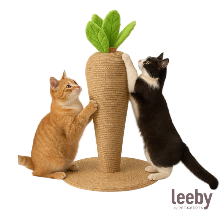 Leeby Carlos Cenoura arranhador de juta para gatos, , large Imagem n&uacute;mero 1