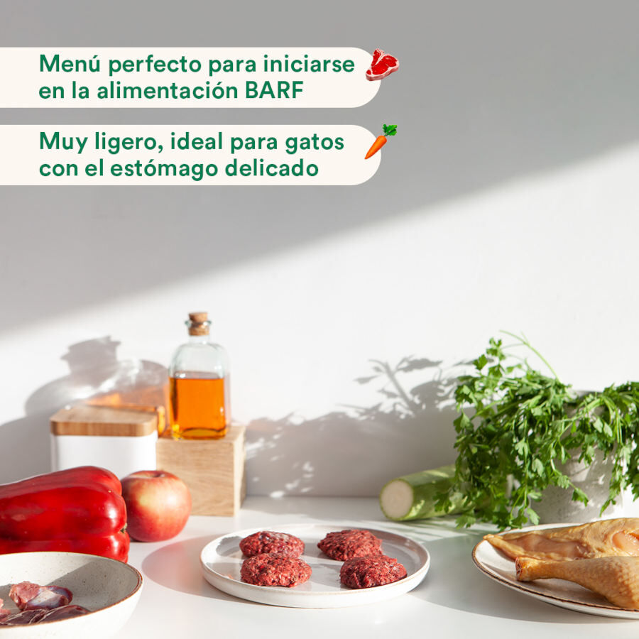 1 kg Wild Balance BARF Salm&atilde;o Peru e Legumes alimenta&ccedil;&atilde;o natural congelada para gatos, , large Imagem n&uacute;mero 4