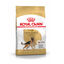 11 kg Royal Canin Adult Pastor Alemão ração para cães, , large Indicador imagem número 1