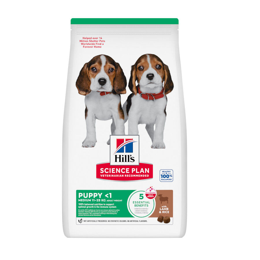 2.5 kg Hill's Science Plan Puppy Medium Ra&ccedil;&atilde;o de cordeiro e arroz para c&atilde;es, , large Imagem n&uacute;mero 1