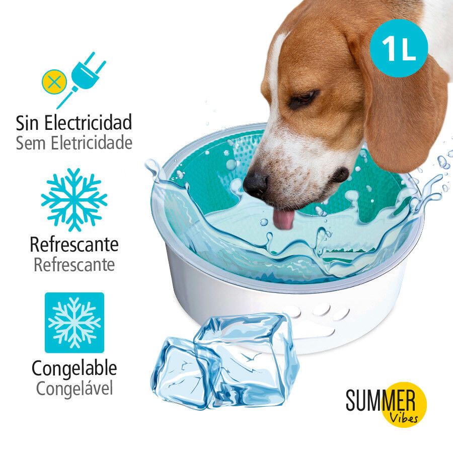 Summer Vibes Bebedouro Refrescante para c&atilde;es, , large Imagem n&uacute;mero 3
