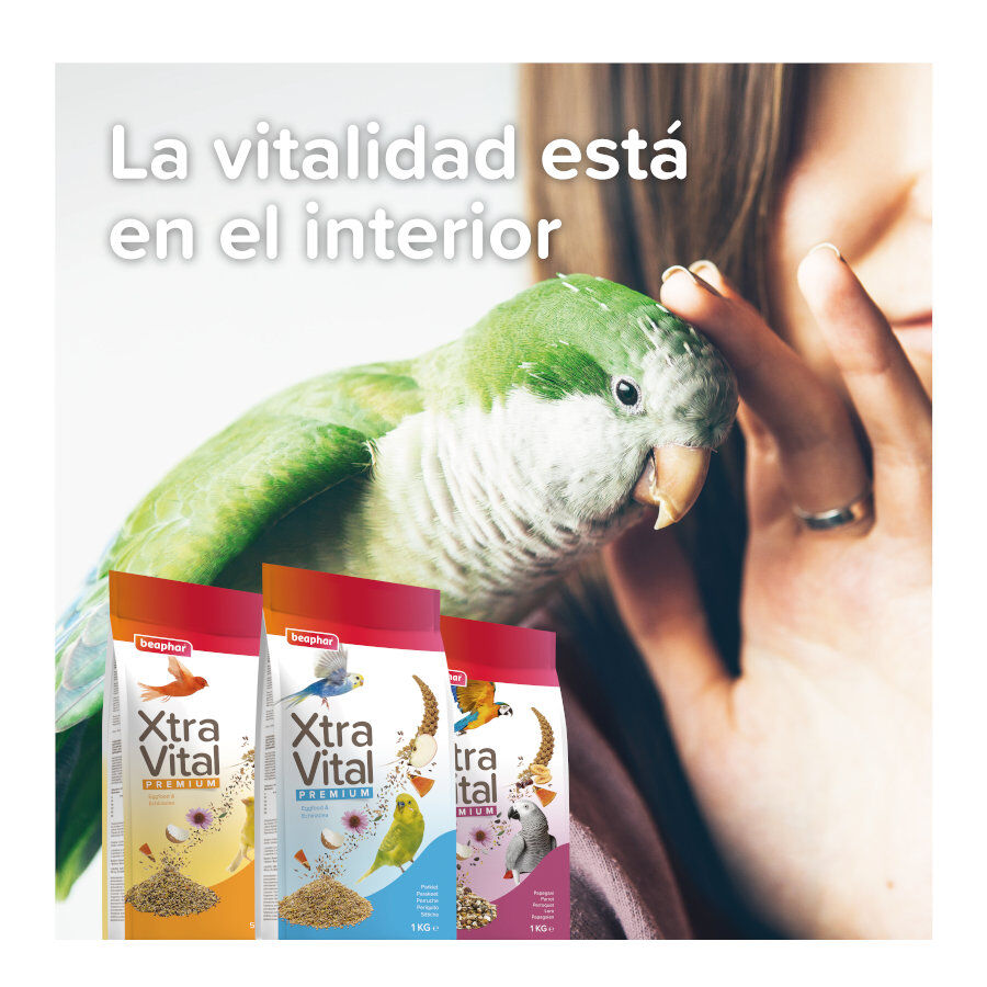 Beaphar XtraVital Mistura para cacatuas, , large Imagem n&uacute;mero 7