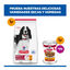 363 g Hill's Science Plan Adult Comida h&uacute;mida de Frango e Legumes para c&atilde;es, , large Indicador imagem n&uacute;mero 8