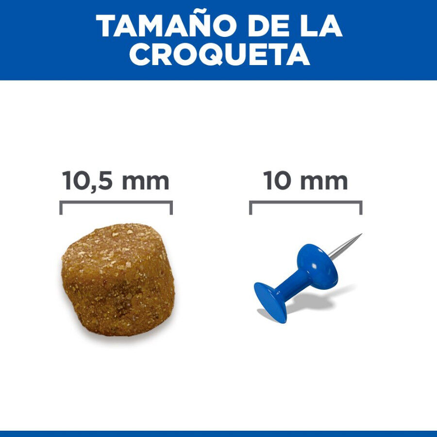 14 kg Hill's Science Plan Adult Medium Frango ra&ccedil;&atilde;o para c&atilde;es, , large Imagem n&uacute;mero 9