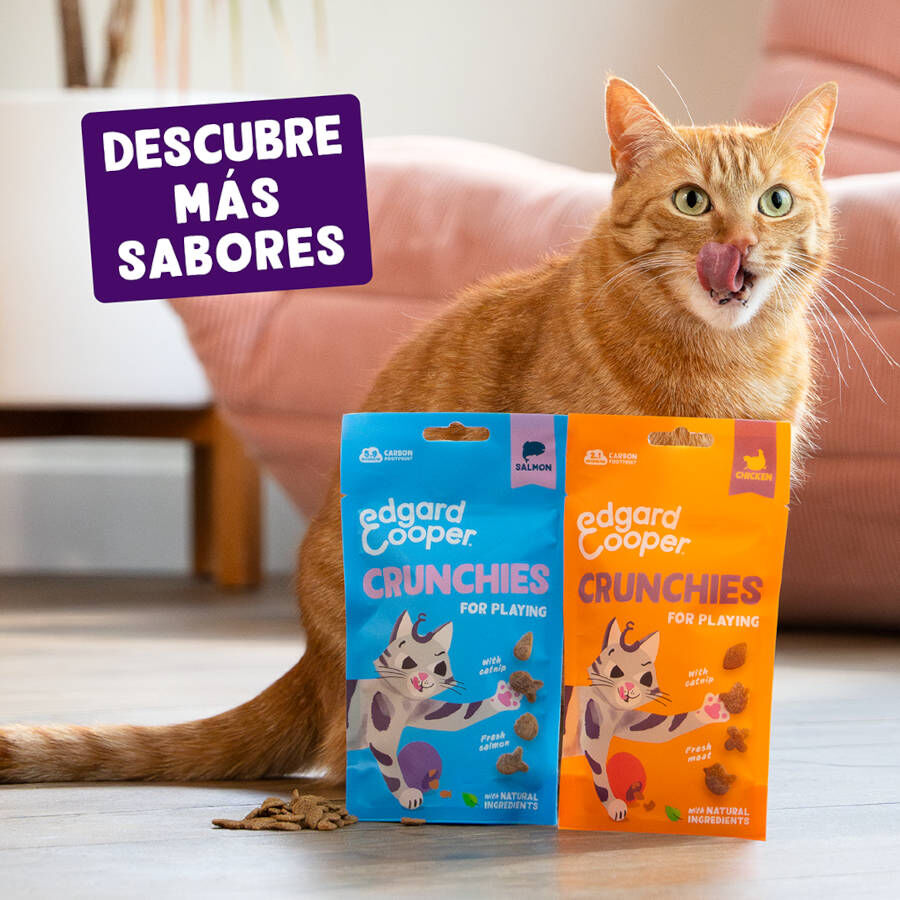 50 g Edgard & Cooper Crunchies Snack de frango para gatos, , large Imagem n&uacute;mero 7
