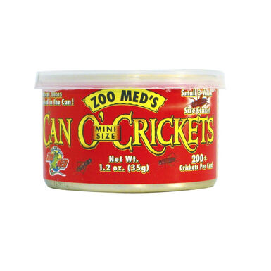 Zoo Med Can O’Crickets Mini Size Grilos para reptéis