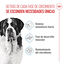 15 kg Royal Canin Junior Giant ração para cães, , large Indicador imagem número 3