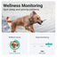 Iberoluso Tractive GPS Localizador XL para cães, , large Indicador imagem número 4